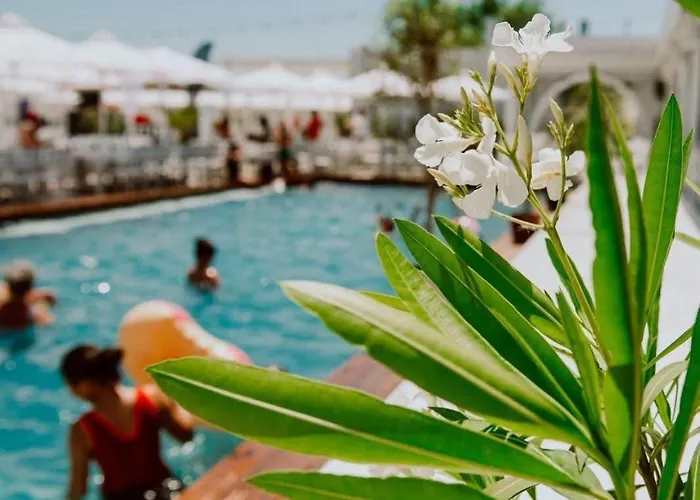 Apartment Beachside Mamaia